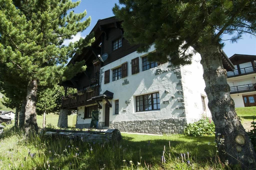 Schoenegg Studio Riederalp Buitenkant foto